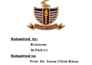 do professional research, summaries, and report writing